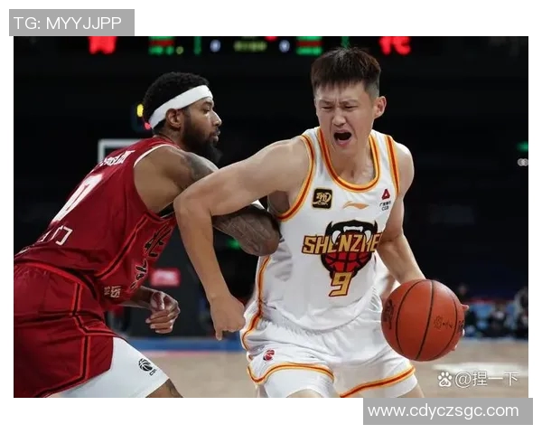 常规赛激战深圳队迎战辽宁队争夺季后赛席位的关键之战