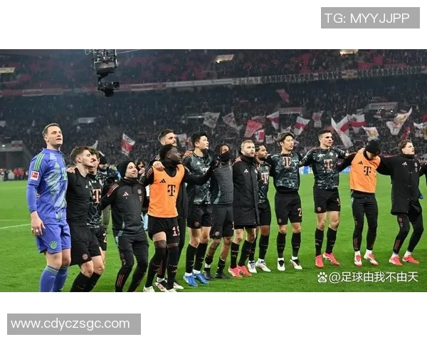 拜仁慕尼黑与国际米兰欧冠对决精彩回顾与战术分析