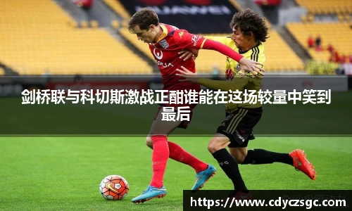 今年会官网