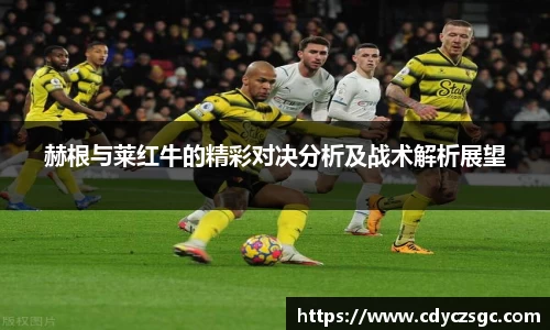 赫根与莱红牛的精彩对决分析及战术解析展望